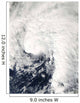 Tropical Storm Ida Gulf Wall Decal