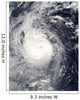 Typhoon Mirinae Heading West Wall Decal