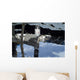Russian Orbital Segment International Wall Decal