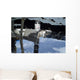 Russian Orbital Segment International Wall Decal