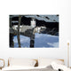 Russian Orbital Segment International Wall Decal
