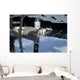 Russian Orbital Segment International Wall Decal