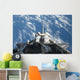 Partial Space Shuttle Atlantis Wall Decal
