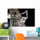 Canadarm2 Mates Express Logistics Wall Decal