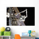 Canadarm2 Mates Express Logistics Wall Decal