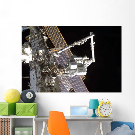 Canadarm2 Mates Express Logistics Wall Decal