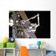 Canadarm2 Mates Express Logistics Wall Decal