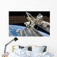 Astronauts Perform Series Tasks Wall Decal