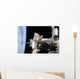 Docked Soyuz Spacecraft over Wall Decal