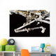 Canadian-built Space Station Remote Wall Decal