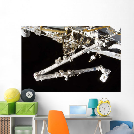 Canadian-built Space Station Remote Wall Decal