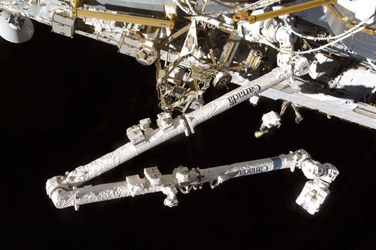 Canadian-built Space Station Remote Wall Decal