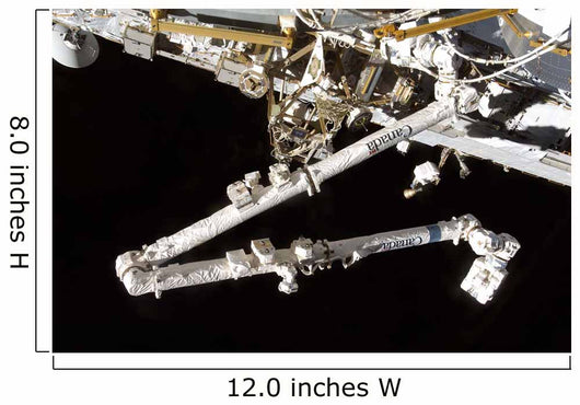 Canadian-built Space Station Remote Wall Decal