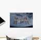 International Space Station Set Wall Decal