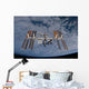 International Space Station Set Wall Decal