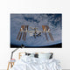 International Space Station Set Wall Decal