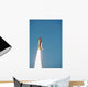 Space Shuttle Atlantis Lifts Wall Decal Design 9