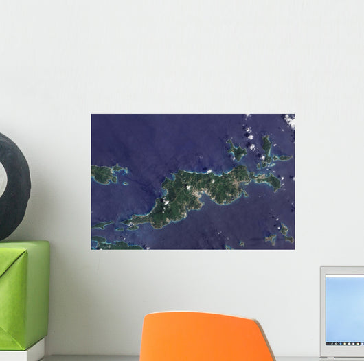 True-color Image Tortola and Wall Decal