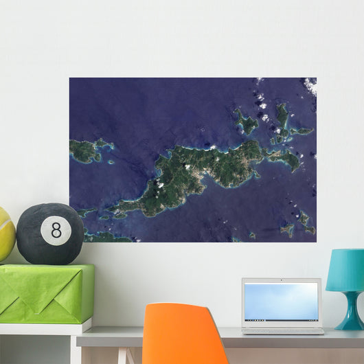 True-color Image Tortola and Wall Decal