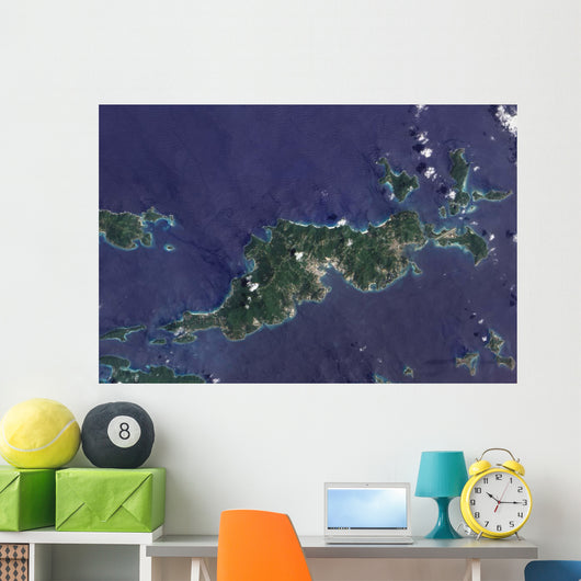 True-color Image Tortola and Wall Decal