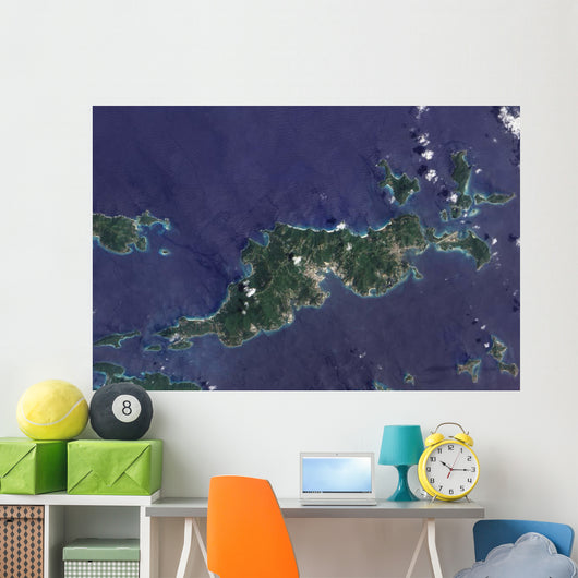 True-color Image Tortola and Wall Decal