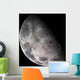 Color Mosaic Earth's Moon Wall Decal