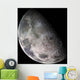 Color Mosaic Earth's Moon Wall Decal