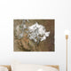 Snow Covers Rocky Mountains Wall Decal