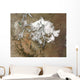 Snow Covers Rocky Mountains Wall Decal