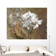 Snow Covers Rocky Mountains Wall Decal
