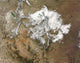 Snow Covers Rocky Mountains Wall Decal