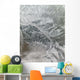 Snowy and Hazy Central Wall Decal
