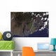 Multiple Plumes Blow toward Wall Decal