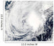 Tropical Storm Nida Southeast Wall Decal