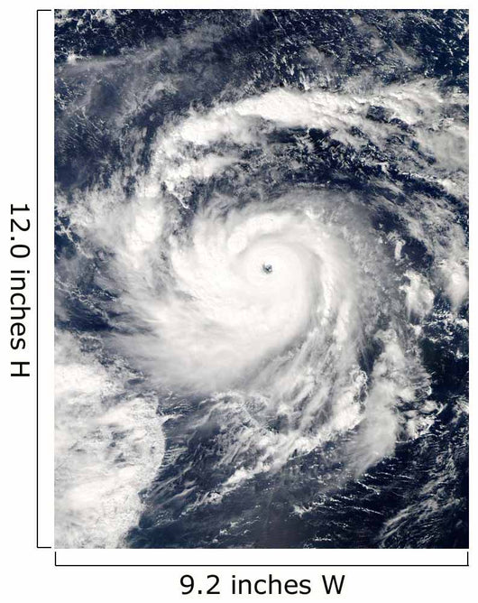 Typhoon Nida Pacific Ocean Wall Decal