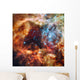 Stellar Nursery Known as Wall Decal
