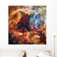 Stellar Nursery Known as Wall Decal