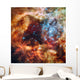 Stellar Nursery Known as Wall Decal
