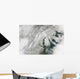 Satellite Massive Nor'easter Snow Wall Decal