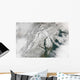 Satellite Massive Nor'easter Snow Wall Decal