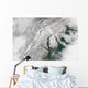 Satellite Massive Nor'easter Snow Wall Decal