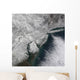 Satellite Nor'easter Snow Storm Wall Decal