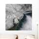 Satellite Nor'easter Snow Storm Wall Decal