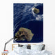 Satellite Prince Edward Islands Wall Decal