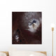 Ash Stains Russia's Shiveluch Wall Decal
