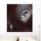 Ash Stains Russia's Shiveluch Wall Decal