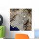 True-color Satellite Central Athens Wall Decal