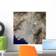 True-color Satellite Central Athens Wall Decal