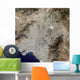 True-color Satellite Central Athens Wall Decal