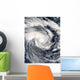 Tropical Cyclone Edzani South Wall Decal